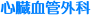 SǊO
